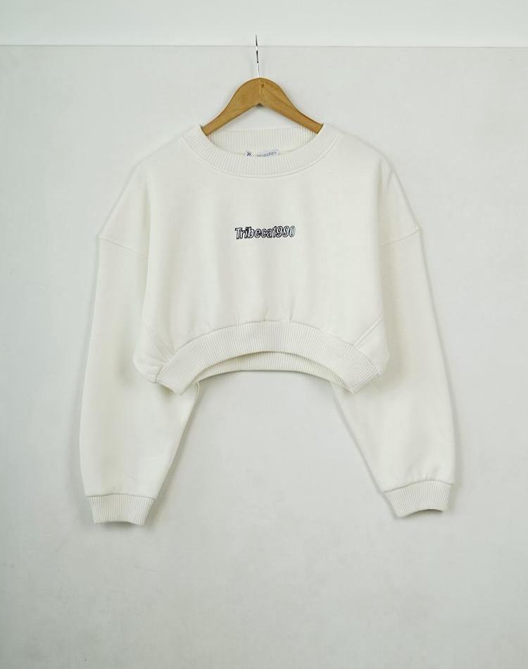 0_دورس کراپ (کد 20029)